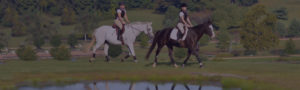 Twin Oaks Farm – Horseback riding in Northern Virginia